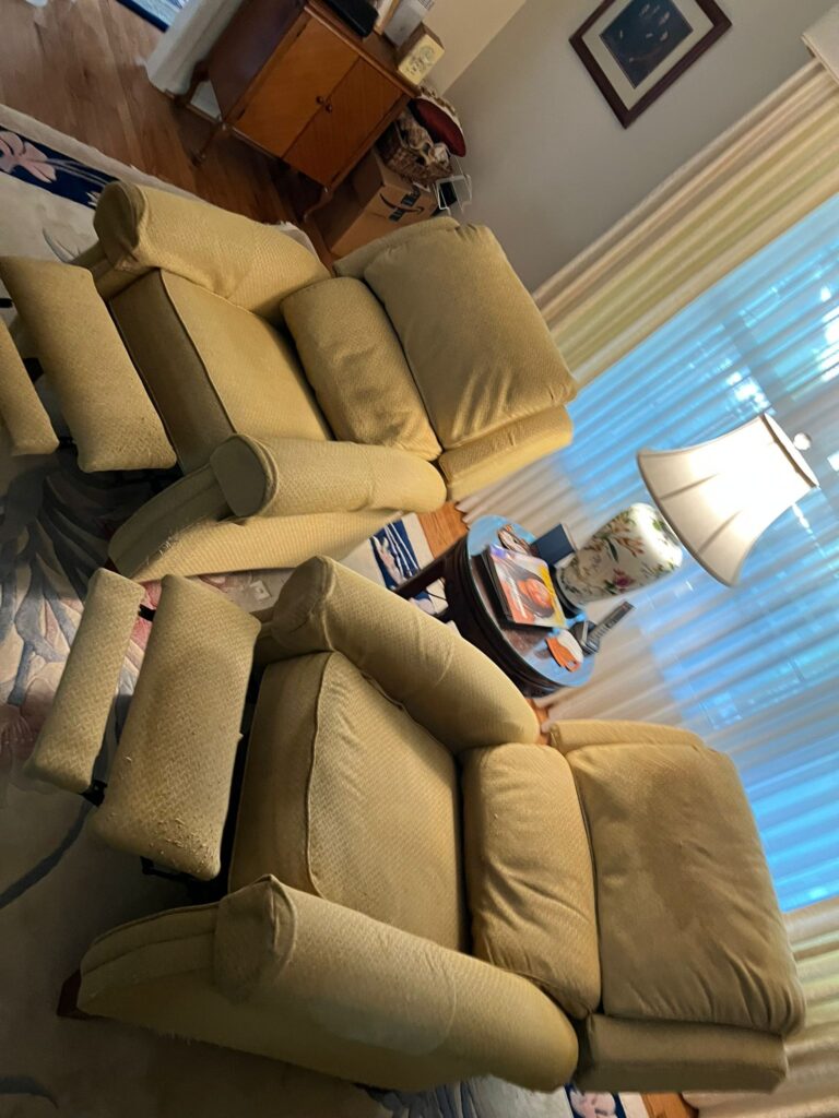 Upholstery Cleaning