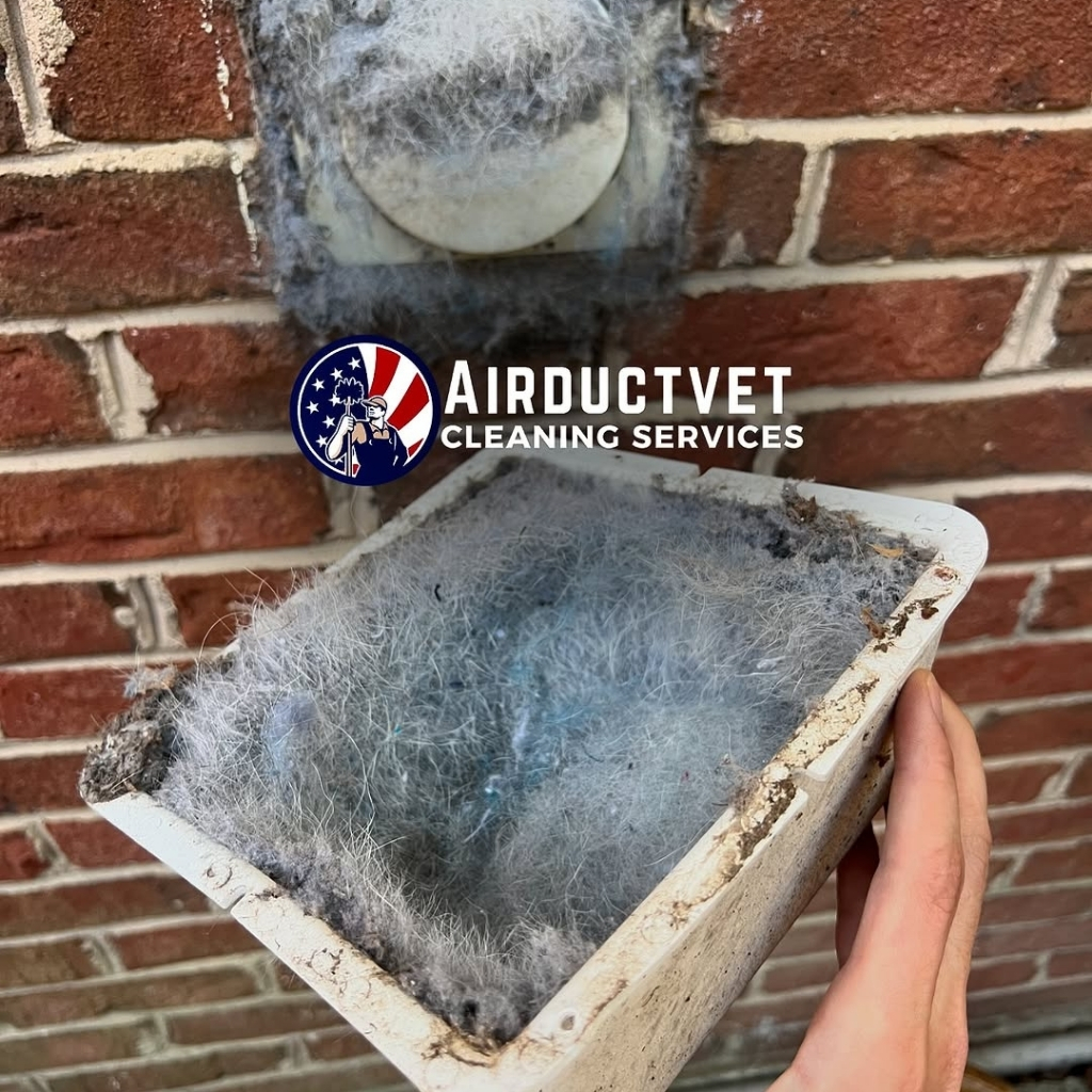 duct cleaning mold treatment