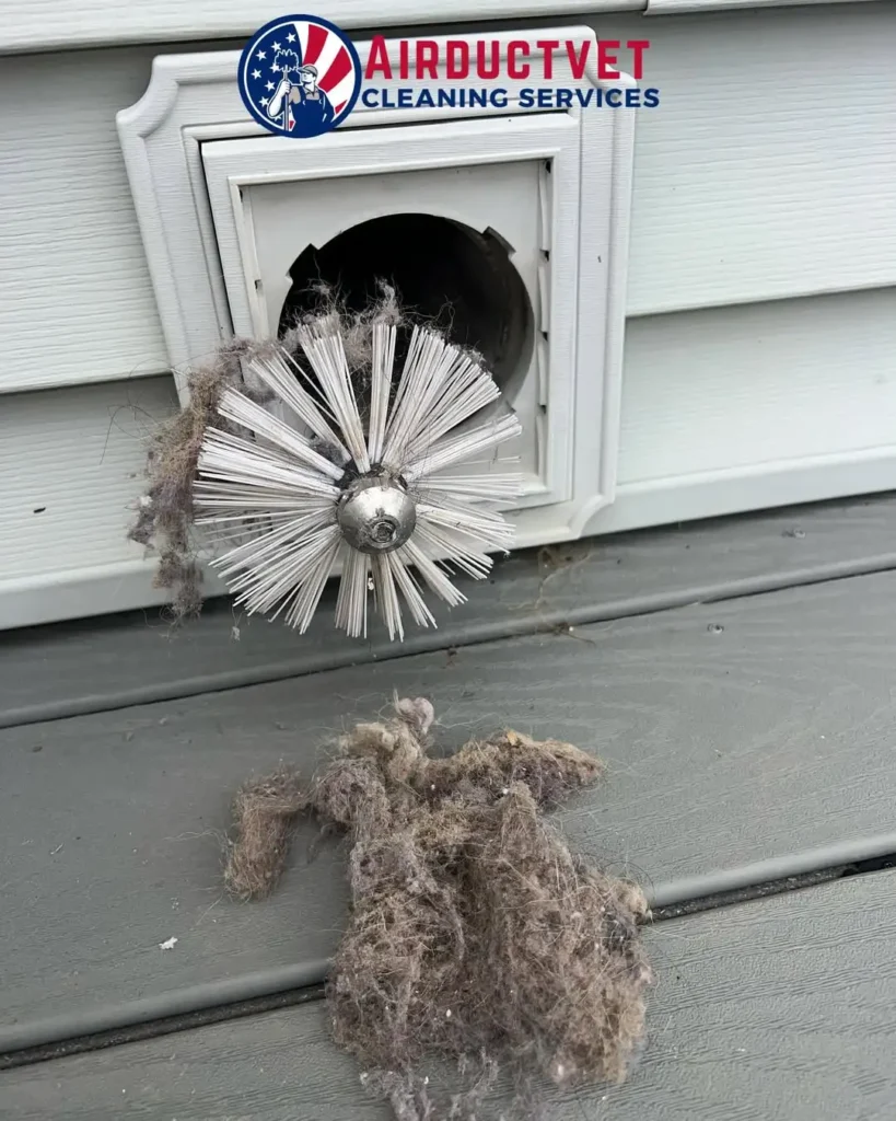 mold in air ducts