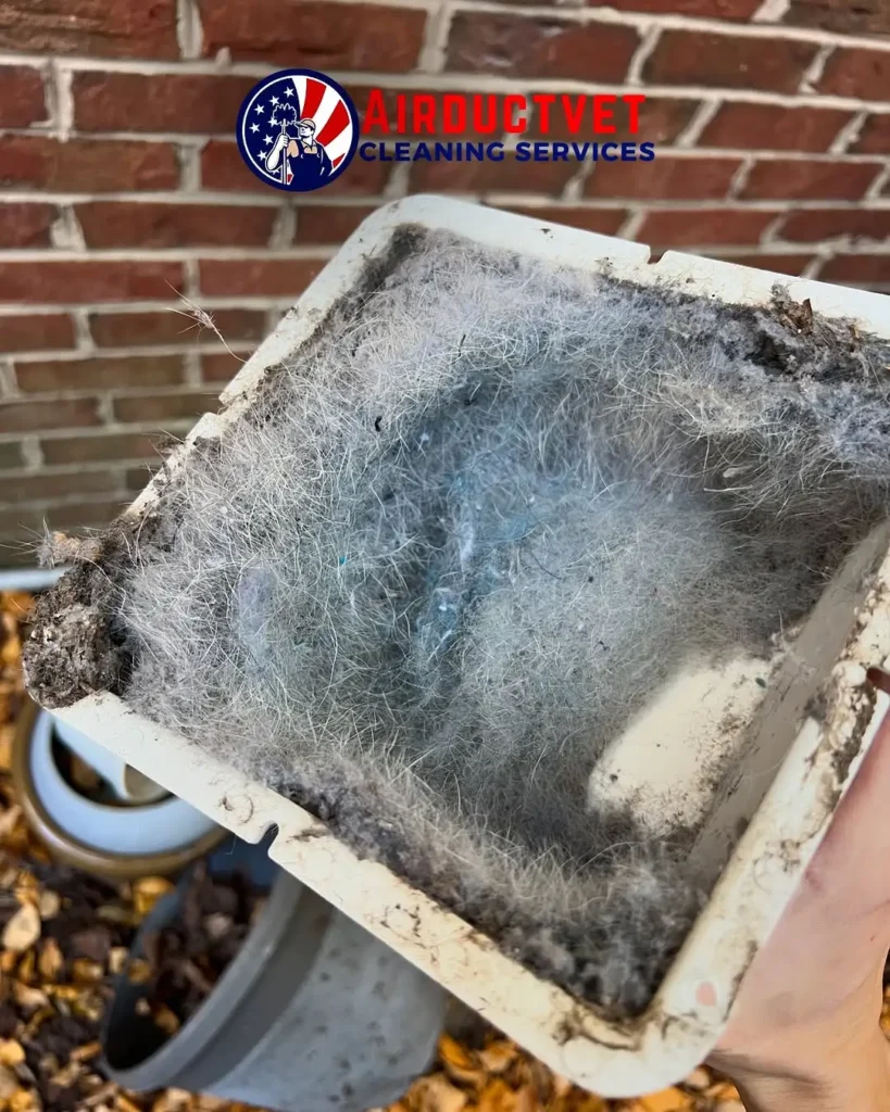 mold in air ducts