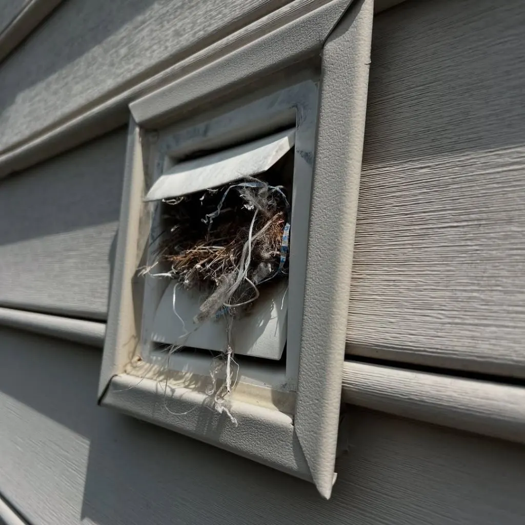 Close-up of a clogged dryer vent with bird nest inside—highlighting the danger of dryer fires and the need for professional cleaning.