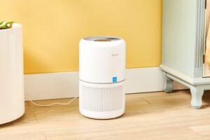 Do Air Purifiers Help with Dust