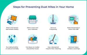 How do I stop my house from being so dusty