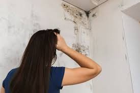 What Are Symptoms of Black Mold Exposure