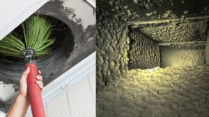 Who Can Clean Mold from Air Ducts