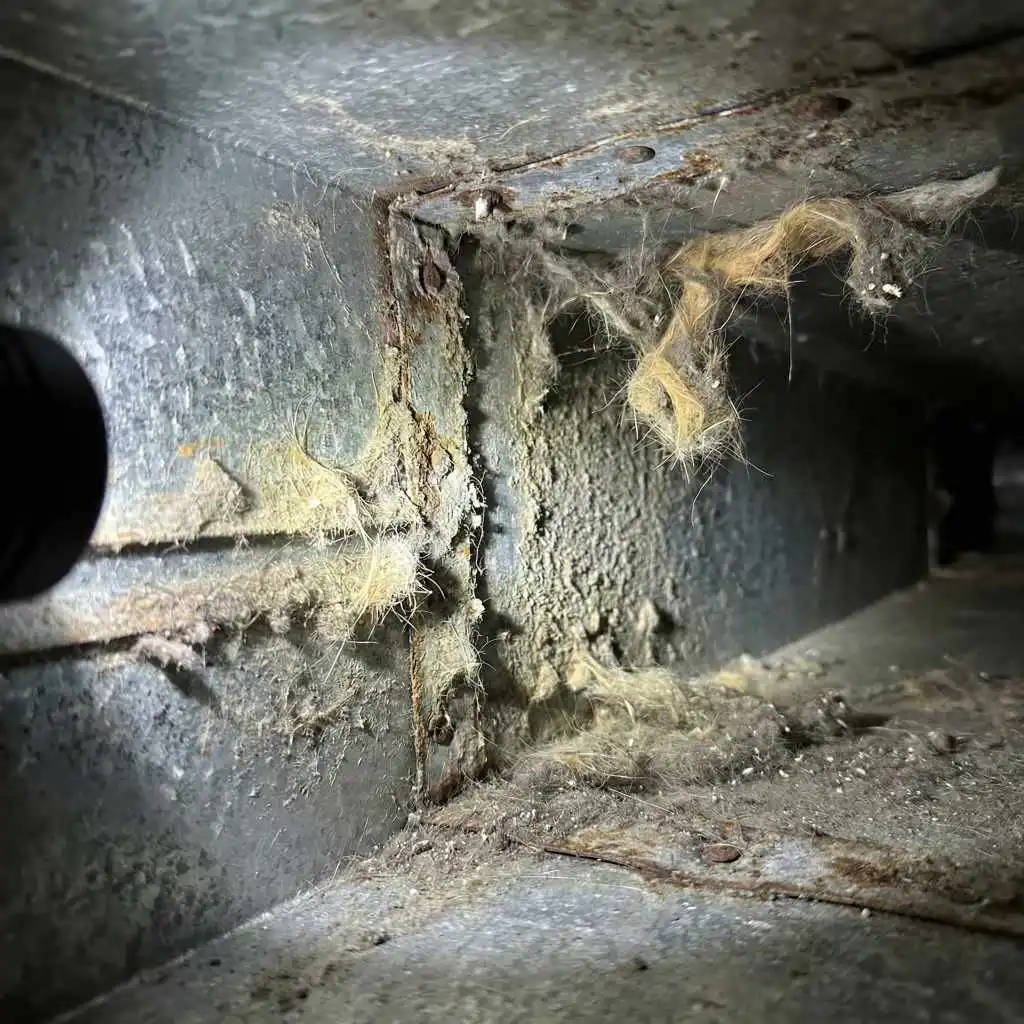 Flashlight illuminating heavy pet hair buildup inside a metal duct, highlighting the need for air duct cleaning for pet owners in Alexandria.