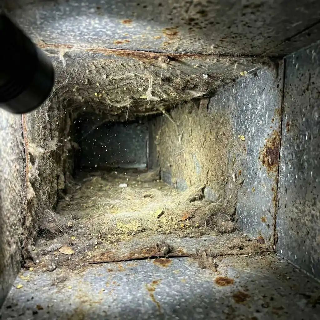 Flashlight revealing heavy dust, rust, and debris inside an HVAC system, the root cause of allergy symptoms from air ducts.