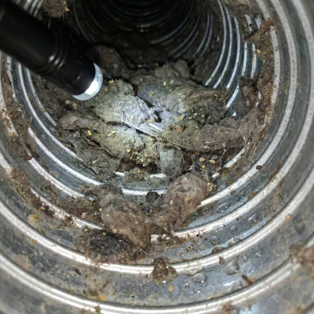Flashlight illuminating clumps of dust, lint, and debris, revealing hidden allergens in dryer vent in Alexandria systems.